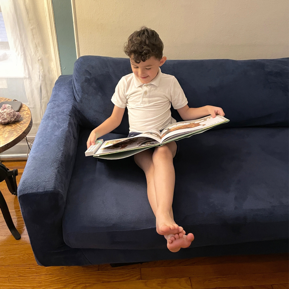Two Recordable Book Buddies
