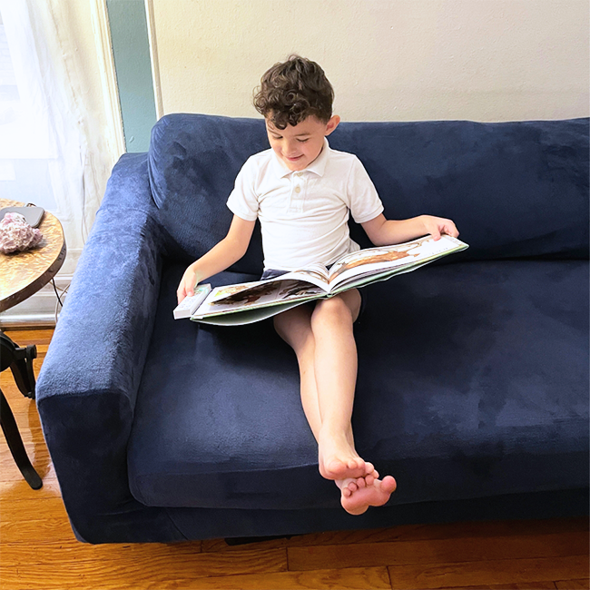NEW! Recordable Book Buddy 2.0