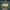 Pre Recorded Package